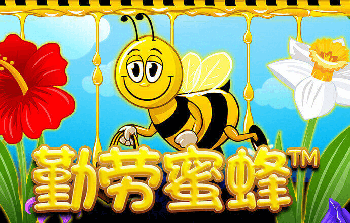 NNNZZ6:COM-WWW:NNNZZ6:COM